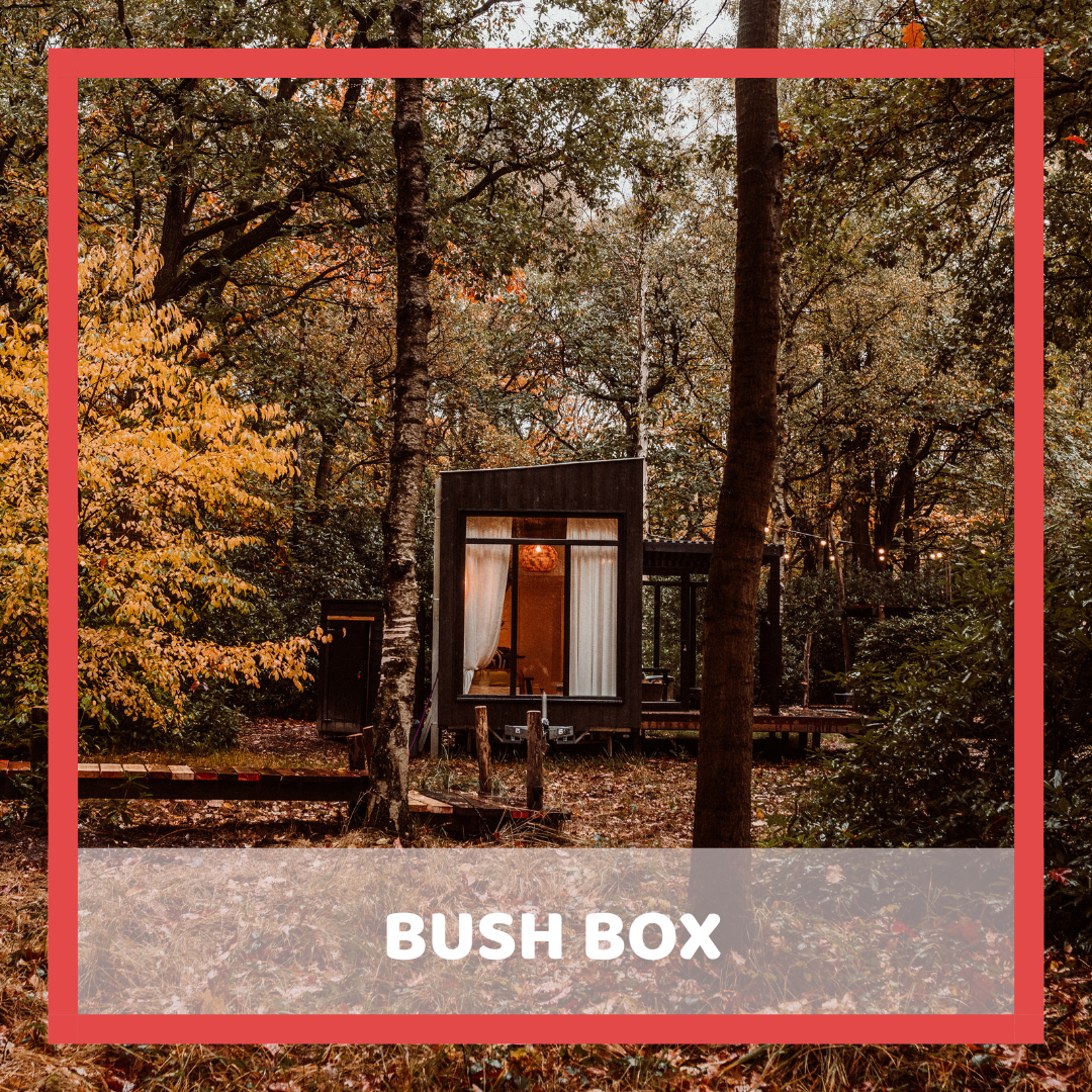 Liefde is ... Bush Box